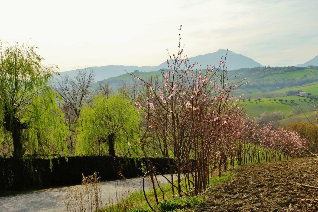 Casa Di Campagna Villa De Luca Bellante Exterior foto